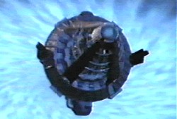 firehawk.jpg